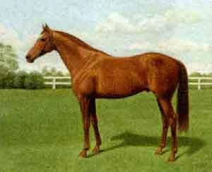 Precipitation, winner of the Ascot Gold Cup by 
																	Gerhardus Jan Adema