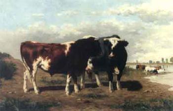 Vaches au paturage by 
																	Hyacinth Jochams