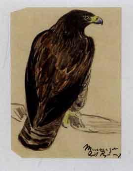 Common buzzard by 
																	Leif Rydeng