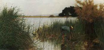 Marsh by 
																	Ferruccio Pagni
