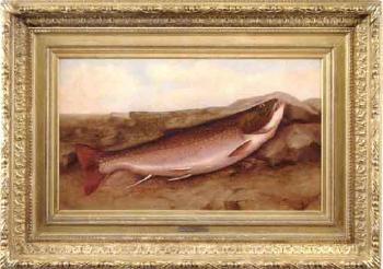 Trophy brook trout by 
																	Louis C Ewer