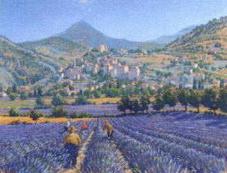 Lavender fields, Provence by 
																	Lionel Aggett