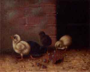Chicks and berries. Chicks watering by 
																			Carlo Coppini