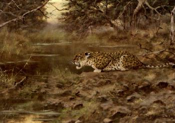 Leopard by 
																	George Majewicz