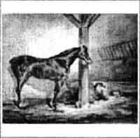 Horse in a stable by 
																	Charles Emile Callande de Champmartin