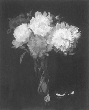 Peonies in glass vase by 
																	Franz Aumer