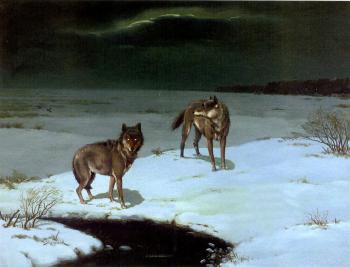 Wolves in the snow by 
																	Stephan Kasprazak