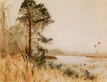 Southern marsh scenes by 
																	Frank Galsworthy