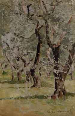 Olive grove by 
																	Eugenio Carraresi