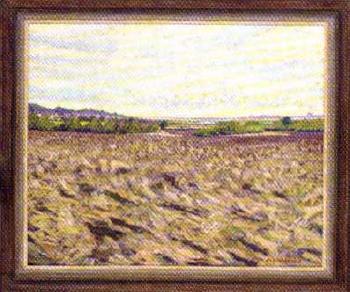 Ploughed fields by 
																	Don Inkersole