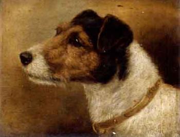 Fox Terriers by 
																			Edward Aistrop