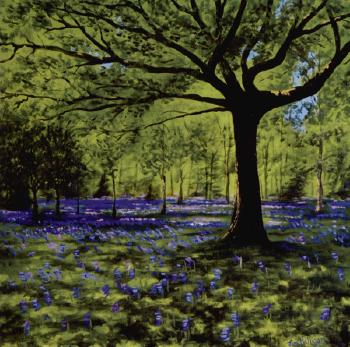 Bluebells in the glade by 
																	Jim Halligan