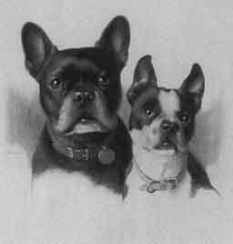 Portrait of two dogs by 
																	Will Rannells