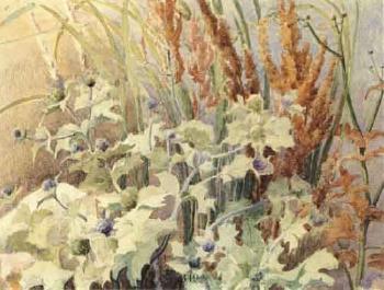 Wild plants by 
																	Anna Louise Brigitte Syberg
