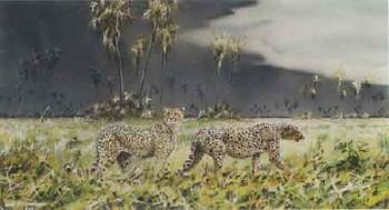 Two cheetahs by 
																	Paul Augustinus