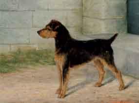Welsh Terrier by a doorway by 
																	Benedict A Hyland