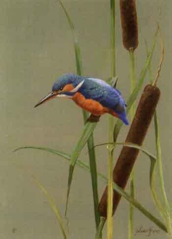 Kingfisher by 
																	Julian Friers