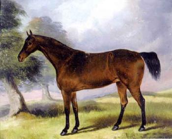 Portrait of a bay mare, Jinny, by Wynot, foaled in 1842 by 
																	John Vine of Colchester