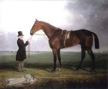 Racehorse held by a groom, thought to be James Blackman-Snook by 
																	F A Oldmeadow
