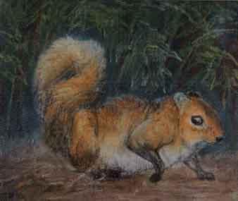 English squirrel by 
																	John Trivett Nettleship