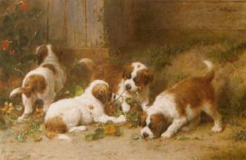 Saint Bernard puppies playing with Indian cress by 
																	Otto Eerelman