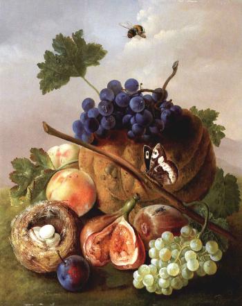 Still life of fruit with bird's nest and insects by 
																			Sebastian Wegmayr