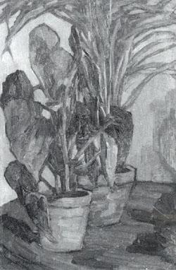 Still life of potplants by 
																	Alice Trubner