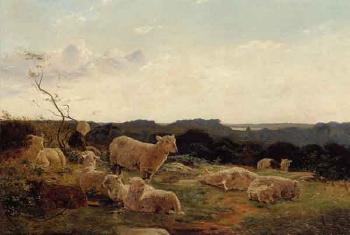 Sheep on a hill near Skarrits lake by 
																	Carlo Dalgas
