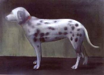 Dalmation by 
																	Andrew Tyzack