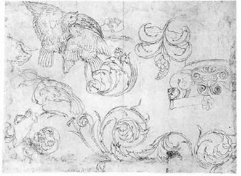 Foliage scrolls with doves, design for a Capital and a field mouse by 
																	Giovanni da Udine