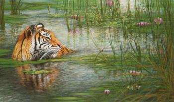 Tiger in lotusteich - tiger in lotus pond by 
																	Eike Redel