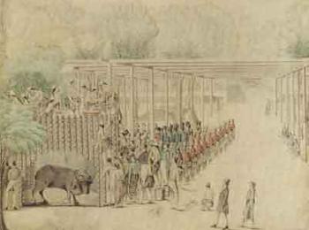 Audience at a Royal Palace in Java watching a tiger attack an oxen by 
																	 Javanese School