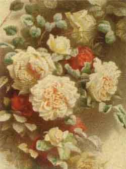 Gloire de Dijon roses by 
																	Annie Mary Youngman