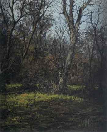 Landscape with trees by 
																	Carlos Aguado