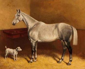Dappled grey and a terrier in a stable by 
																	Frank Babbage
