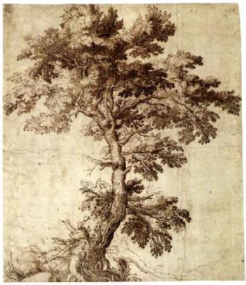 Tree on outcrop by 
																	Girolamo Muziano