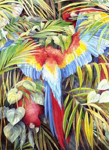 Red macaws by 
																	Emma Faull