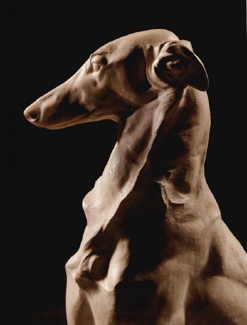 Seated greyhound by 
																			Henri Vallette
