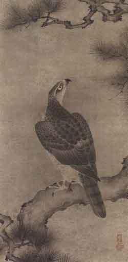 Hawk on a pine branch by 
																	Kano Utanosuke