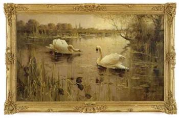 By rushy banks, with two swans by 
																	Albert E Bailey