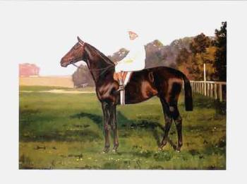 Portrait of a racehorse Cuthbert with W Buckley up by 
																	Clarence Hailey