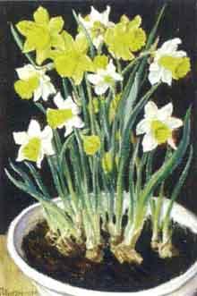 Still life of daffodils by 
																	Leonhard Eckertsperger