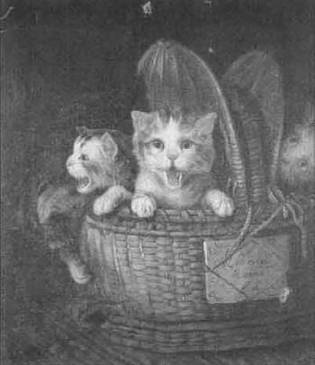 Basketful of kittens by 
																	B Redi