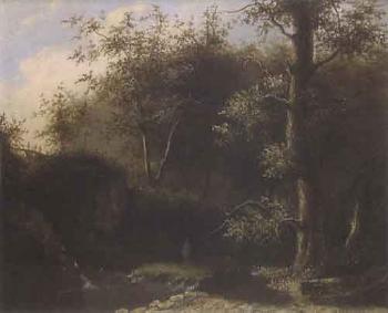 Impressive forest landscape with small stream in foreground by 
																	Elias David Gans