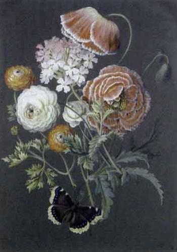 Still life of roses with a butterfly by 
																			Christel Johann Heinrich Eli