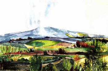 Waikato landscape by 
																	Helen Sandall
