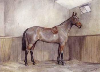 Chestnut mare in a stable by 
																	 E M