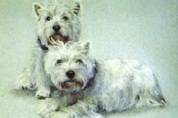Two terriers by 
																	Mikhail Naroditsky