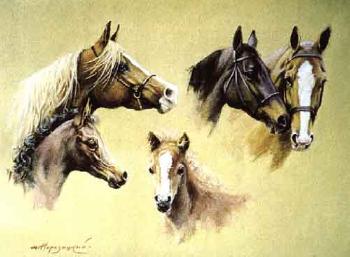 Study of horses heads by 
																	Mikhail Naroditsky
