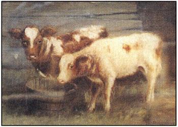 Calves feeding by 
																	George Macfarlane